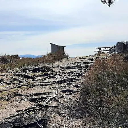 Plain-pied Proche Base De Loisirs Et Voie Verte * Saulxures-sur-Moselotte