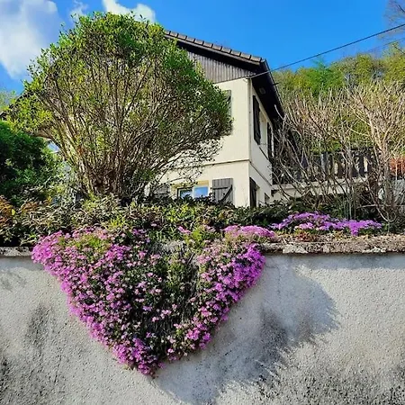 Plain-pied Proche Base De Loisirs Et Voie Verte * Saulxures-sur-Moselotte