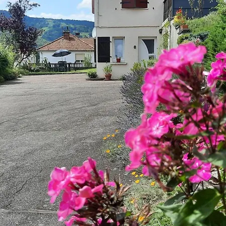 Plain-pied Proche Base De Loisirs Et Voie Verte Saulxures-sur-Moselotte