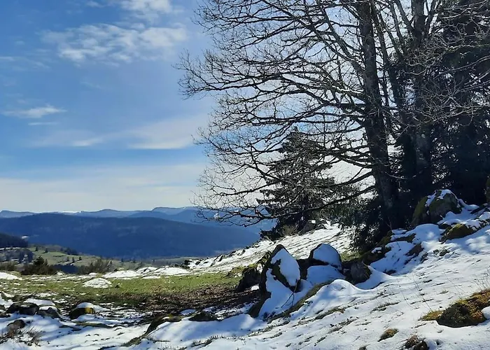 Plain-pied Proche Base De Loisirs Et Voie Verte * Saulxures-sur-Moselotte