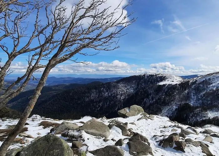 Plain-pied Proche Base De Loisirs Et Voie Verte Apartmán *