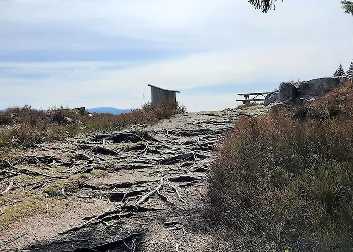Plain-pied Proche Base De Loisirs Et Voie Verte * Saulxures-sur-Moselotte