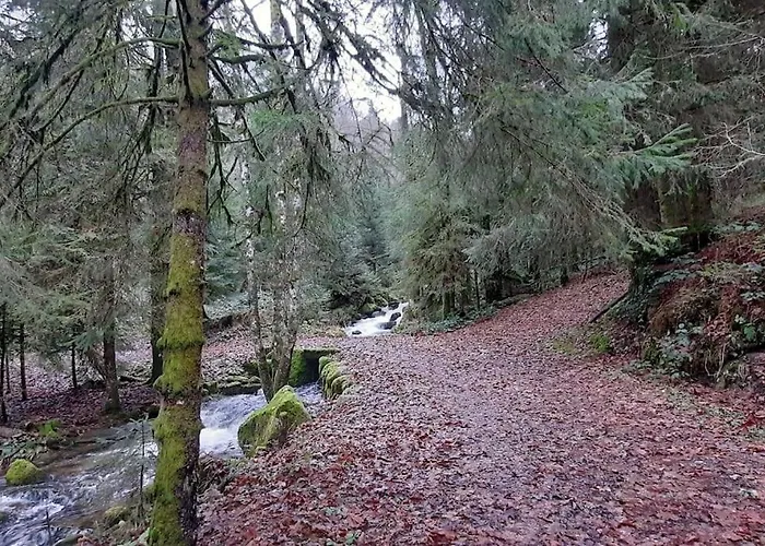 Plain-pied Proche Base De Loisirs Et Voie Verte