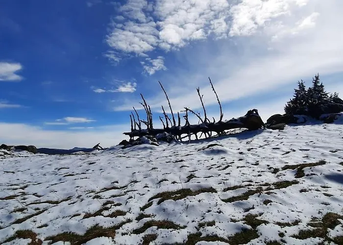 Apartmán Plain-pied Proche Base De Loisirs Et Voie Verte