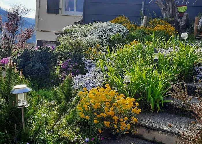 Plain-pied Proche Base De Loisirs Et Voie Verte Saulxures-sur-Moselotte