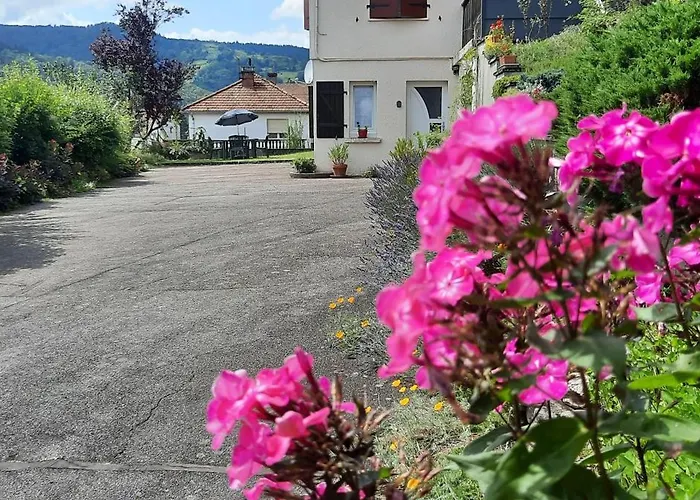 Plain-pied Proche Base De Loisirs Et Voie Verte Saulxures-sur-Moselotte